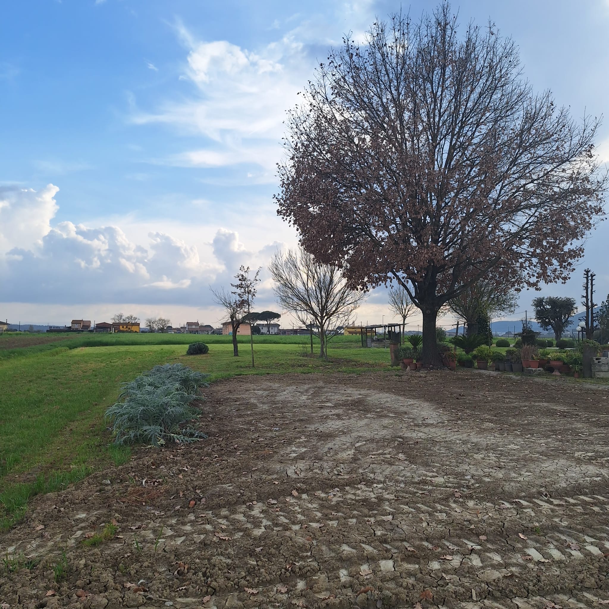 Ordinati, lunghi, affilati come una serie infinita di righe da compilare