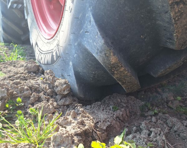 Semplice e mai banale