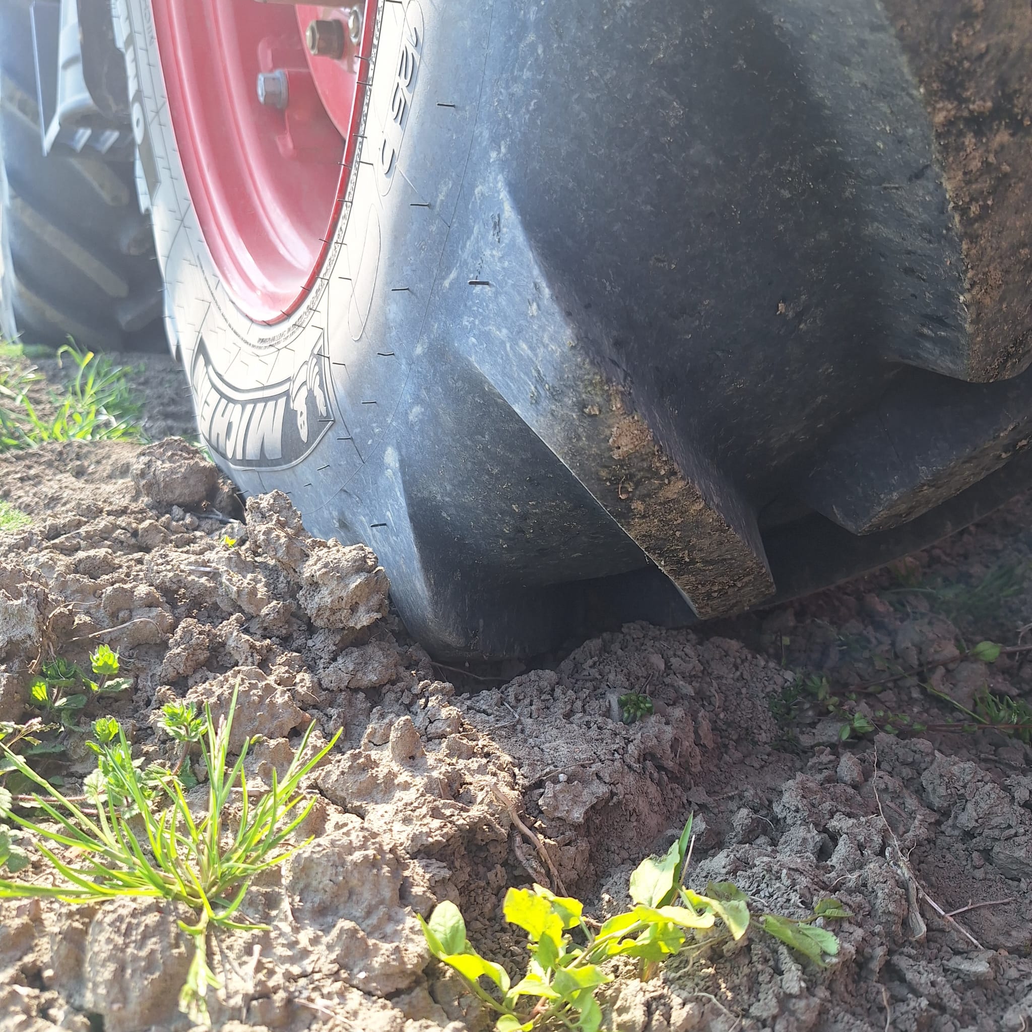 Semplice e mai banale